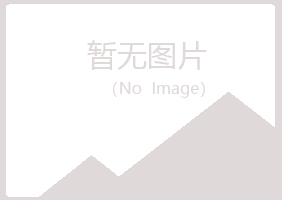 鹤岗兴山妩媚金属有限公司